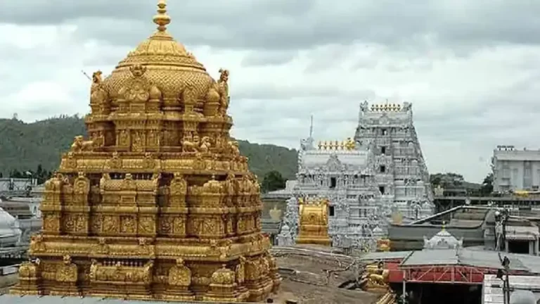 Read more about the article तिरुपति बालाजी मंदिर का इतिहास || History of tirupati balaji temple