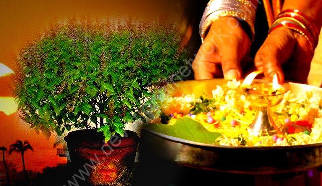Read more about the article तुलसी की पूजा करते समय कर लें ये 1छोटा सा काम, आपके ऊपर होगी मां लक्ष्मी मेहरबान
