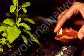 Tulsi Pooja