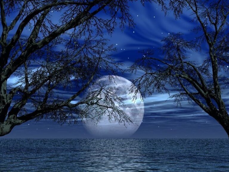 कब दिखेगा सुपर ब्लू मून और जानें इस अद्भुत चंद्रमा के बारे में - When will the super blue moon appear and learn about this wonderful moon.