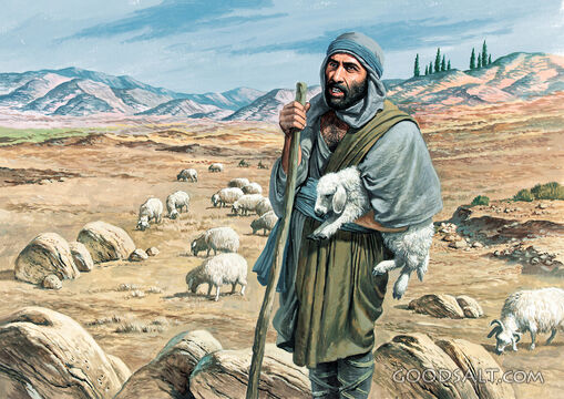 You are currently viewing अमोस द्वारा राजा की निंदा की कहानी – The story of amos condemning the king