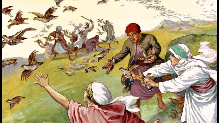 मन्ना और बटेर की कहानी - Story of manna and quail