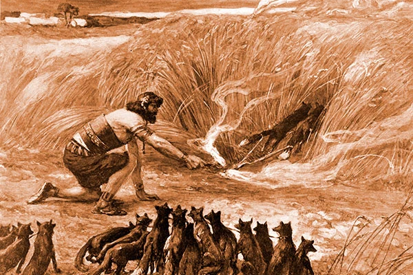 You are currently viewing लोमड़ियों और जबड़े की हड्डी की कहानी – Story of foxes and a jawbone