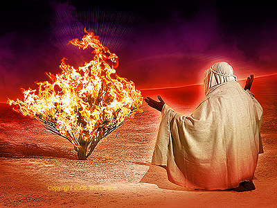 You are currently viewing जलती हुई झाड़ी से प्रभु के बोलने की कहानी – Story of lord speaks from a burning bush