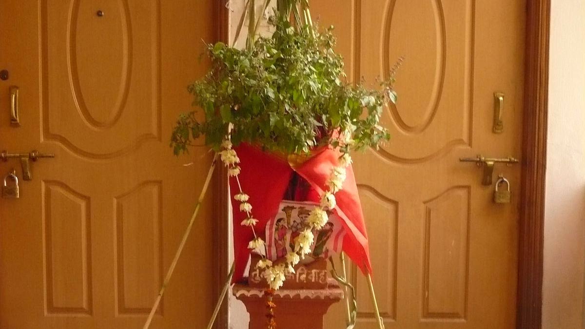 You are currently viewing जानिए खरमास में तुलसी की पूजा करना चाहिए या नहीं – Know whether tulsi should be worshiped in kharmas or not