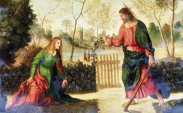 You are currently viewing मरियम की पुनर्जीवित यीशु से मुलाकात की कहानी – Story of mary meets the risen jesus