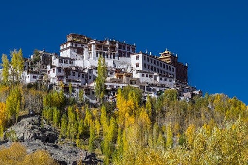 Read more about the article माथो मठ का इतिहास – History of matho monastery