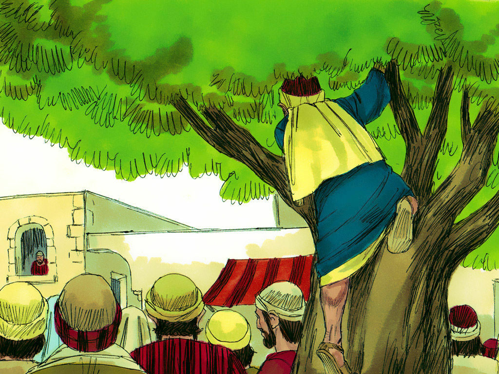 You are currently viewing जक्कई के पेड़ पर चढ़ने की कहानी – The story of zacchaeus climbing a tree