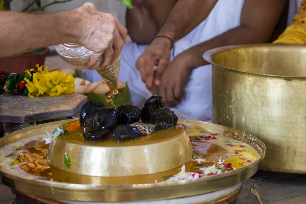 You are currently viewing जानिए शालिग्राम की पूजा करते समय किस मंत्र का जाप करना चाहिए – Know which mantra should be chanted while worshiping shaligram