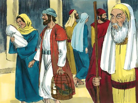 You are currently viewing यीशु को देखने वाले शिमोन और अन्ना की कहानी – The story of simeon and anna seeing jesus