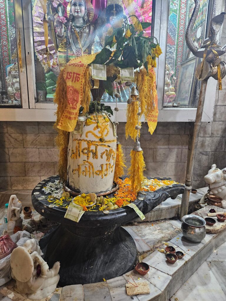 Read more about the article शिव मंदिर में कैसे प्रार्थना करें